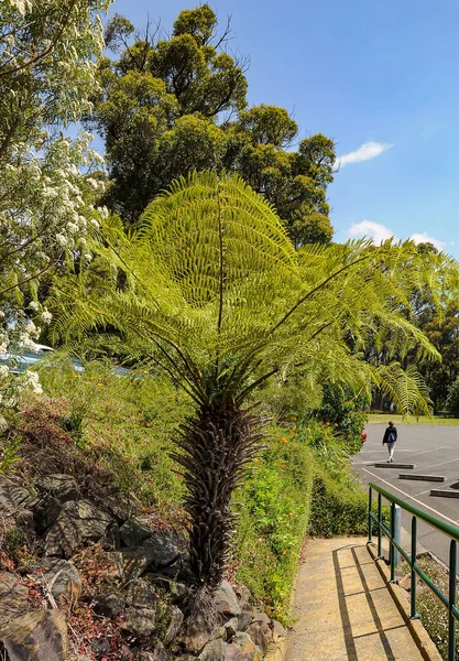 Skyhigh Dandenong Observatory Mount Dandenong Vic 3767 Australia Enero 2014 — Foto de Stock