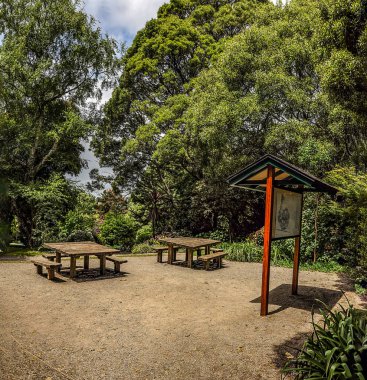 Dandenong Dağı, SkyHigh. 26 Gözlemevi Bulvarı, Dandenong Dağı VIP 3767. Avustralya. 3 Ocak 2014. Heykellerle, çiçeklerle, patikalarla ve köprülerle dolu bir eğlence parkı. 