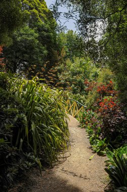 Dandenong Dağı, SkyHigh. 26 Gözlemevi Bulvarı, Dandenong Dağı VIP 3767. Avustralya. 3 Ocak 2014. Heykellerle, çiçeklerle, patikalarla ve köprülerle dolu bir eğlence parkı.