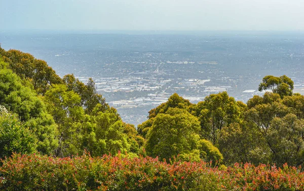 하늘높은 Observatory Mount Dandenong Vic 3767 2014 곳에서 지역으로 바라본 — 스톡 사진