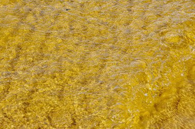 Finlandiya Körfezi 'nde sığ su dokusu. 