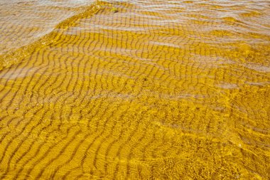 Finlandiya Körfezi 'nde sığ su dokusu. 