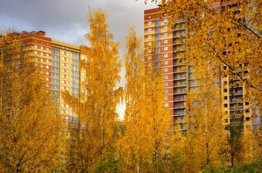 Ust-Slavyanka 'daki St. Petersburg' un varoşlarında sonbahar, yeni yüksek binaların inşa edileceği yer.. 