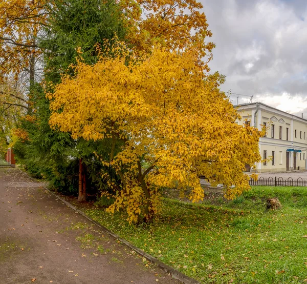 Otoño Pueblo Ust Izhora Lugar Batalla Con Los Suecos 1240 — Foto de Stock