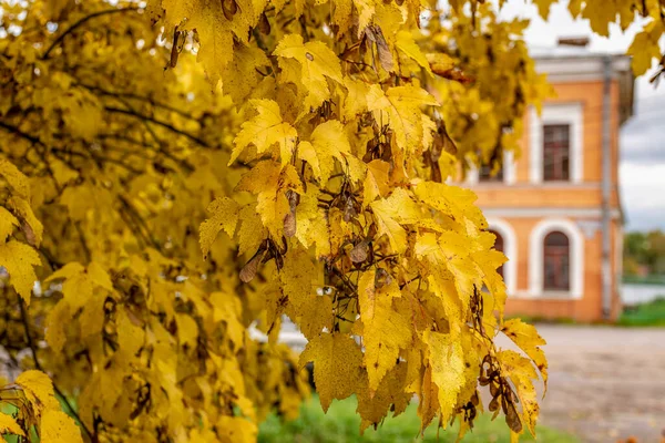 Herbst Dorf Ust Izhora Schauplatz Der Schlacht Gegen Die Schweden — Stockfoto