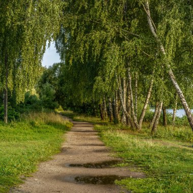 Drozdy rezervuarı, Minsk 'in kuzeybatısında, Svisloch nehrinde bulunan bir rezervuardır. Vileika-Minsk su sisteminin bir parçası mı?.