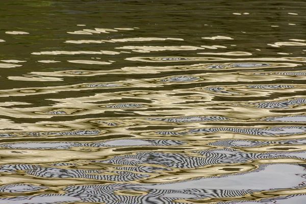 Bir Gölün Suyundaki Güneş Işığının Yansımaları — Stok fotoğraf