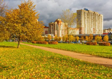 Kare. Coastal Caddesi. Balık tutmaya. Saint-Petersburg, Rusya. 13 Ekim 2019. St. Petersburg sokaklarında altın sonbahar. Güzel bir sonbahar süslemesinde farklı ağaçlar. 