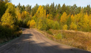 Khitola köyü, Karelia, Rusya, 6 Ekim 2019. Karelia 'da güneşli bir sabah. 