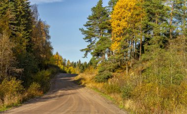Khitola köyü, Karelia, Rusya, 6 Ekim 2019. Karelia 'da güneşli bir sabah. 