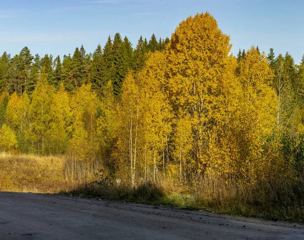 Khitola Village Karelia Rusia Octubre 2019 Una Mañana Soleada Karelia —  Fotos de Stock