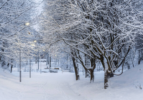 Rybatskoe; St. Petersburg. Russia. December 2; 2019. City park after heavy snowfall at night.