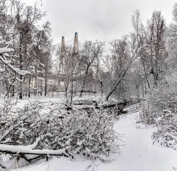 Rybatskoe Petersburg Rusya Aralık 2019 Gece Yoğun Kar Yağışı Sonrası — Stok fotoğraf