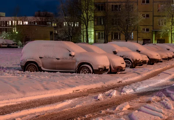 Rybatskoe San Petersburgo Rusia Diciembre 2019 Calles Ciudad Parque Después — Foto de Stock