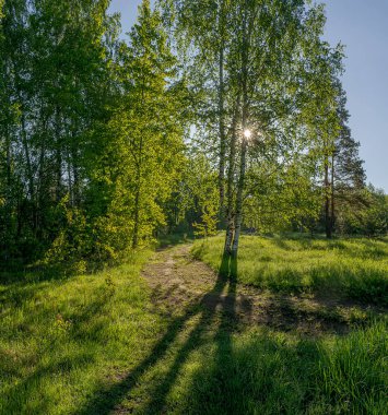 Neva 'nın sol yakası, Kirovsky bölgesi, Leningrad bölgesi, Rusya. 1 Haziran 2019. 1941 'den 1943' e kadar Sovyet birliklerinin işgal ettiği bir köprü başı olan Nevsky Pyatachka 'nın manzarası. Anıtları ve toplu mezarları olan bir anıt alanı..