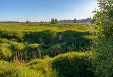 Neva 'nın sol yakası, Kirovsky bölgesi, Leningrad bölgesi, Rusya. 1 Haziran 2019. 1941 'den 1943' e kadar Sovyet birliklerinin işgal ettiği bir köprü başı olan Nevsky Pyatachka 'da bombardıman ve top mermisi kraterleri ile kaplıydı. Anıtları olan bir anıt alanı.