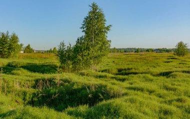 Neva 'nın sol yakası, Kirovsky bölgesi, Leningrad bölgesi, Rusya. 1 Haziran 2019. 1941 'den 1943' e kadar Sovyet birliklerinin işgal ettiği bir köprü başı olan Nevsky Pyatachka 'da bombardıman ve top mermisi kraterleri ile kaplıydı. Anıtları olan bir anıt alanı.