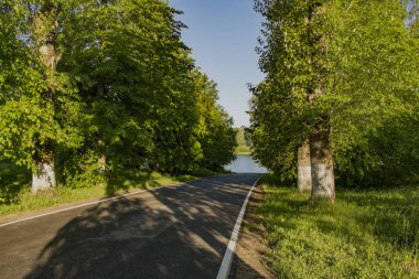 Neva 'nın sol yakası, Kirovsky bölgesi, Leningrad bölgesi, Rusya. 1 Haziran 2019. Sokak, 1941 'den 1943' e kadar Sovyet birliklerinin işgal ettiği bir köprü başı olan 