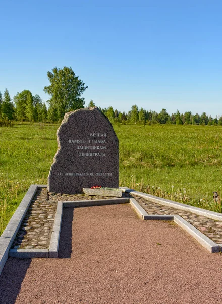 Vänster Bank Neva Kirovskij Distriktet Leningrad Regionen Ryssland Juni 2019 — Stockfoto