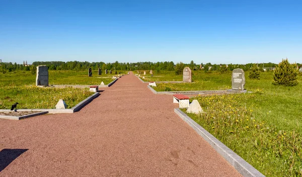 Vänster Bank Neva Kirovskij Distriktet Leningrad Regionen Ryssland Juni 2019 — Stockfoto