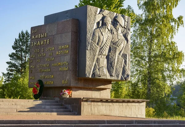 Vänster Bank Neva Kirovskij Distriktet Leningrad Regionen Ryssland Juni 2019 — Stockfoto