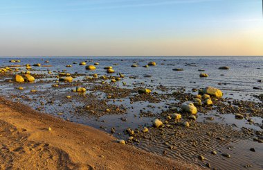 Finlandiya Körfezi. Komarovo. Leningrad bölgesi. - Rusya. 29 Eylül 2020. Komarovo 'da Finlandiya Körfezi' nde gün batımı. 