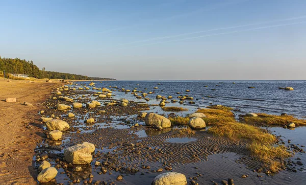 Finlandiya Körfezi Komarovo Leningrad Bölgesi Rusya Eylül 2020 Komarovo Finlandiya — Stok fotoğraf