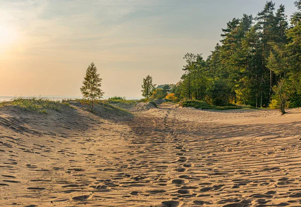 Golfo Finlandia Komarovo Regione Leningrado Russia Settembre 2020 Tramonto Sul — Foto Stock