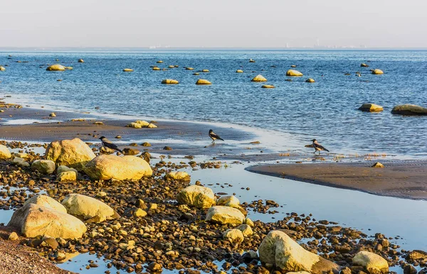 Finska Viken Komarovo Leningradregionen Ryssland September 2020 Solnedgång Vid Finska — Stockfoto