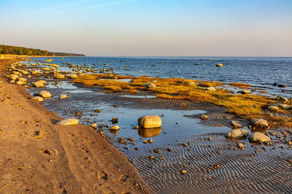 Zatoka Fińska Komarowo Leningradzki Region Rosja Września 2020 Zachód Słońca — Zdjęcie stockowe