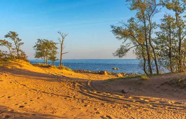 Zatoka Fińska Komarowo Leningradzki Region Rosja Września 2020 Zachód Słońca Obrazy Stockowe bez tantiem