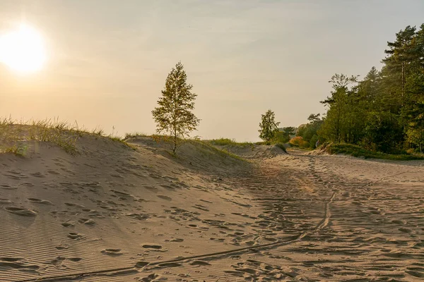 Golfo Finlandia Komarovo Regione Leningrado Russia Settembre 2020 Tramonto Sul — Foto Stock