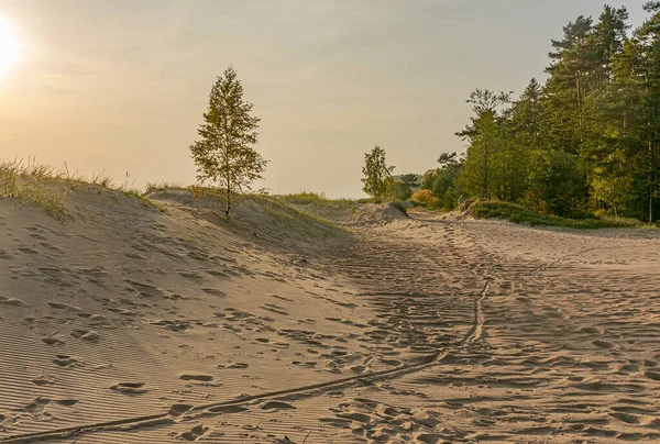 Golfo Finlandia Komarovo Regione Leningrado Russia Settembre 2020 Tramonto Sul — Foto Stock