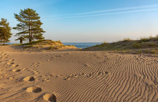 Golfo Finlandia Komarovo Regione Leningrado Russia Settembre 2020 Tramonto Sul — Foto Stock