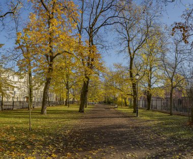 Catherine Park. Kronstadt 'ta. - Rusya. 31 Ekim 2020. Kronstadt şehrinde altın sonbahar.