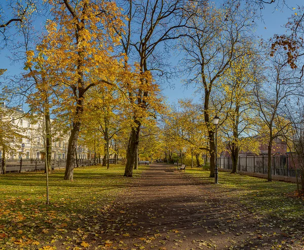 Catherine Park Kronstadt Rusya Ekim 2020 Kronstadt Şehrinde Altın Sonbahar — Stok fotoğraf