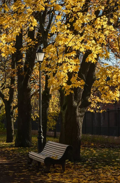 Catherine Park Kronstadt Russland Oktober 2020 Goldener Herbst Kronstadt — Stockfoto