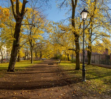 Catherine Park. Kronstadt 'ta. - Rusya. 31 Ekim 2020. Kronstadt şehrinde altın sonbahar. 