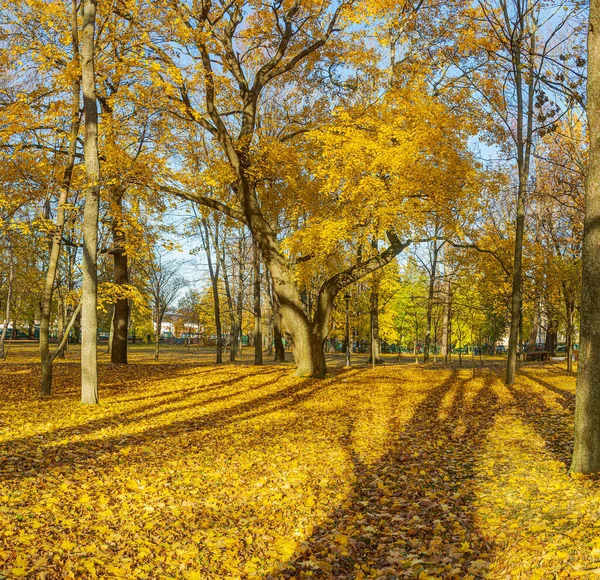 Petrowski Park Kronstadt Russland Oktober 2020 Petrovsky Park Ist Ein — Stockfoto