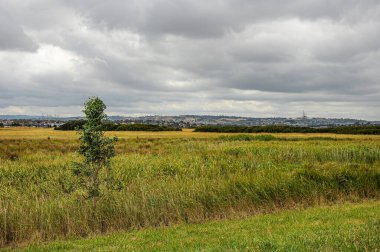 Hallam Main Drain boyunca yürü. Victoria, Avustralya, 1 Ocak 2014. 