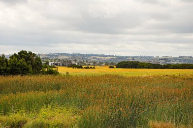 Hallam Main Drain boyunca yürü. Victoria, Avustralya, 1 Ocak 2014. 