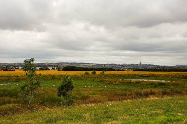 Hallam Main Drain boyunca yürü. Victoria, Avustralya, 1 Ocak 2014. 