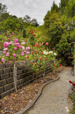 Park Wilson 'da yağmurlu bir gün. Park, Victoria, Avustralya 'daki Berwick' teki Princes Highway 'de yer almaktadır..