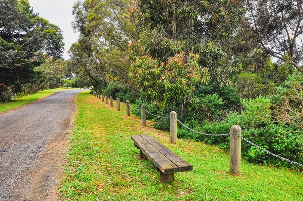 Paisaje Wilson Cooking Victoria Australia Día Lluvioso — Foto de Stock