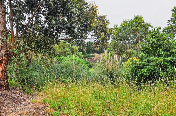 Landschap Van Wilson Cooking Victoria Australië Een Regenachtige Dag — Stockfoto