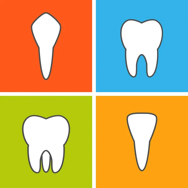 Arten von Zahn. — Stockvektor