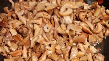 deliziosi funghi fritti in padella Close-up