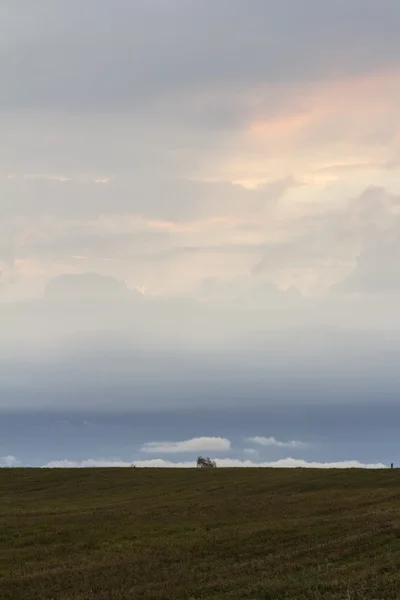 üzerinde akşam gökyüzünde bulutlar
