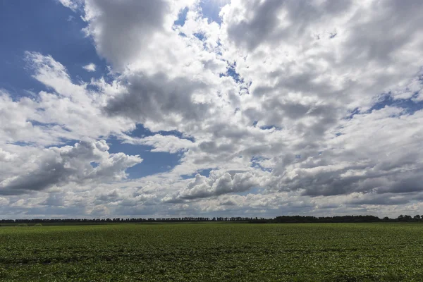 bulutlar üzerinde gün sky