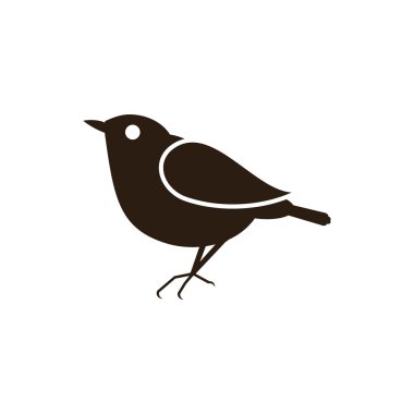 Blackbird hayvanlar kuşlar